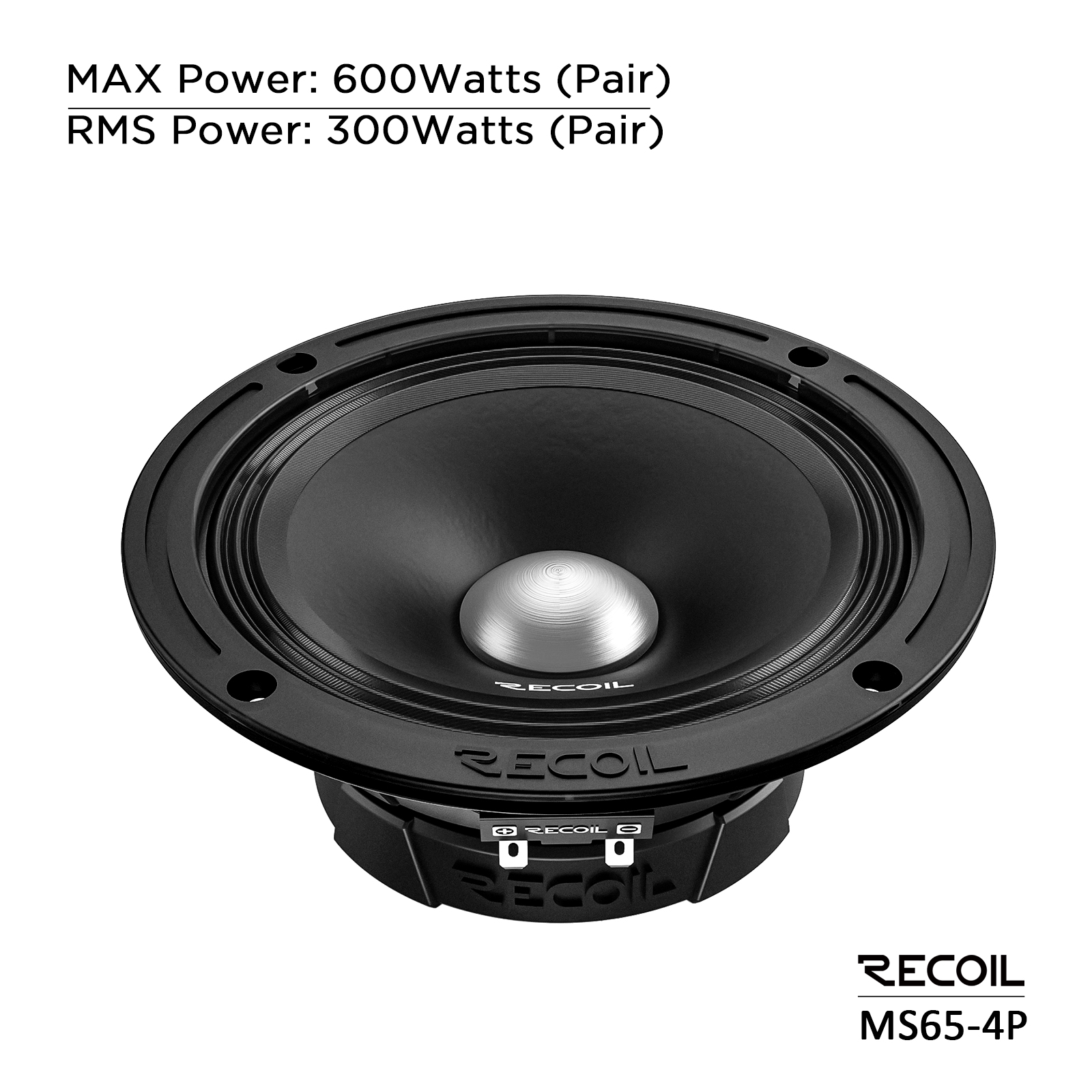 Car or Truck Sound System
